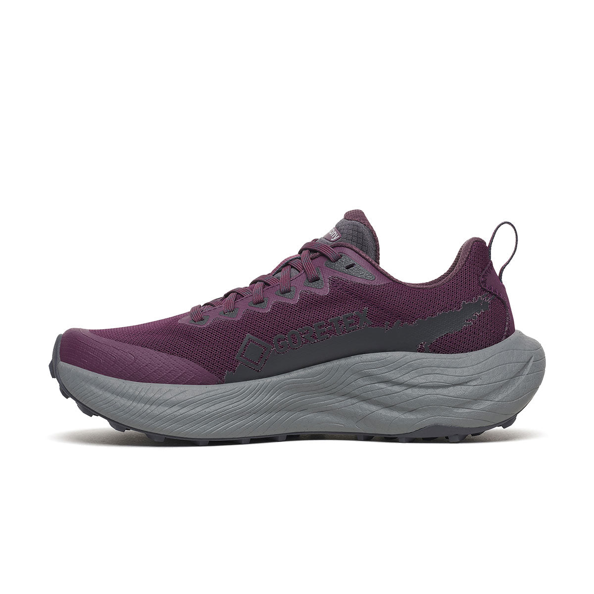 Saucony Ride TR3 GTX Dame