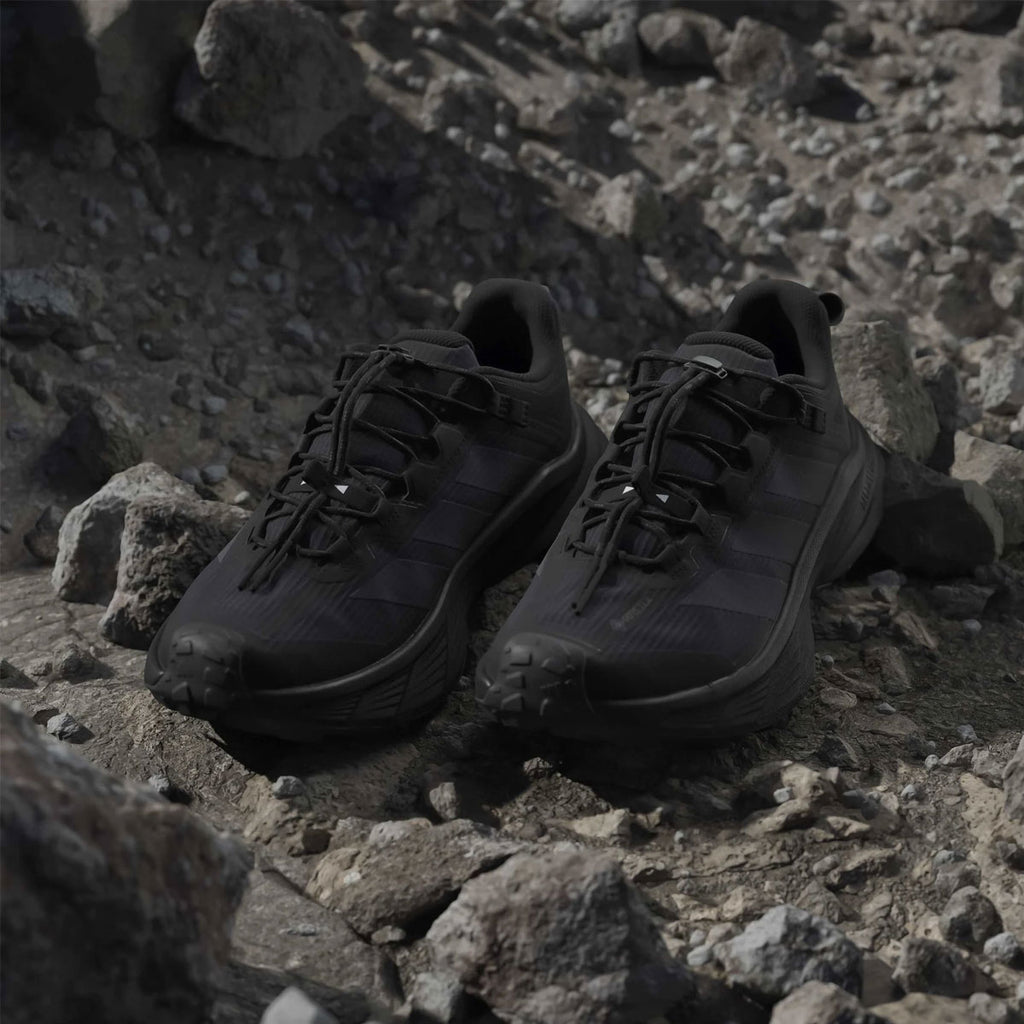 Adidas Terrex Freehiker SL herre trailsko i sort på grus og sten