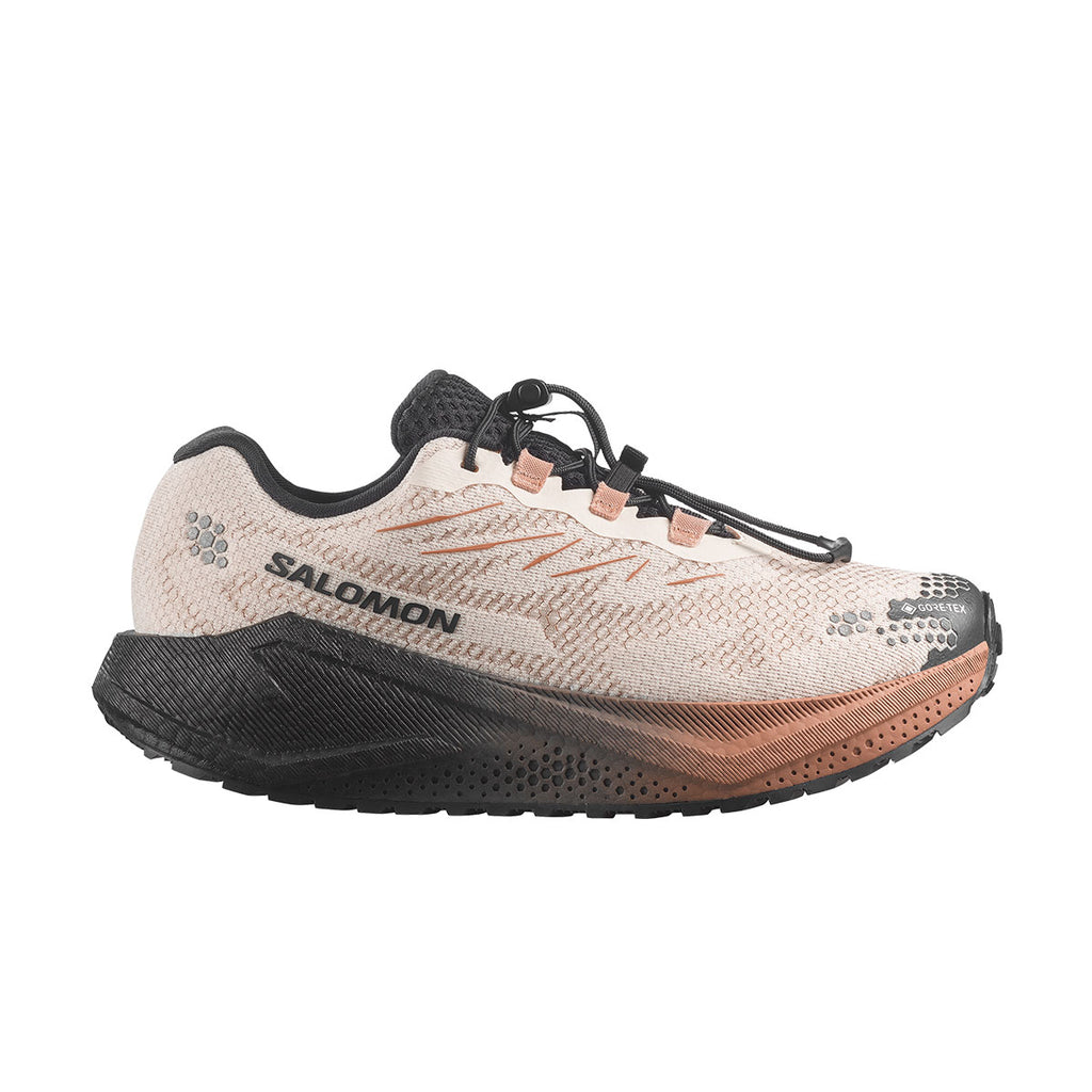 Salomon Aero Blaze 4 GRVL GTX Dame