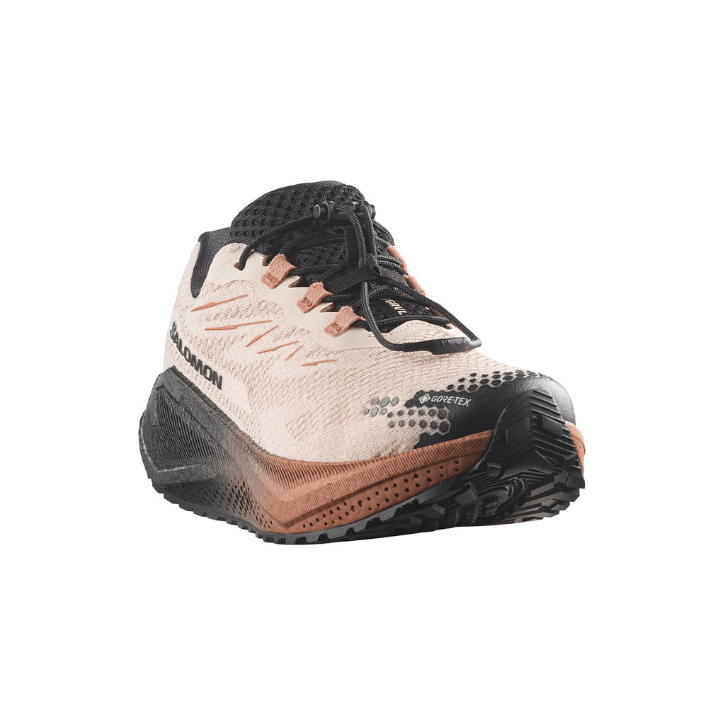Salomon Aero Blaze 4 GRVL GTX Dame