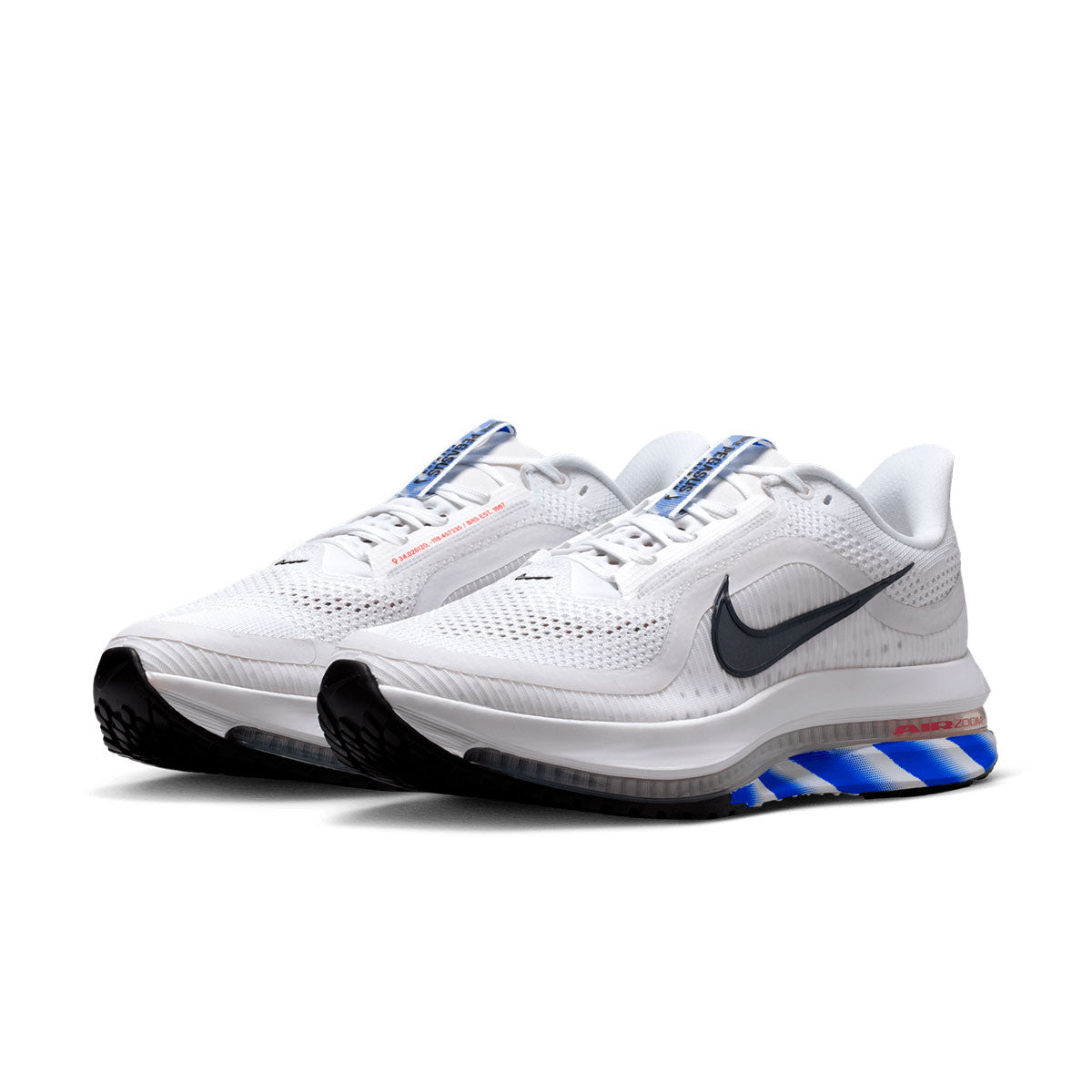 Nike Pegasus Premium CM Herre