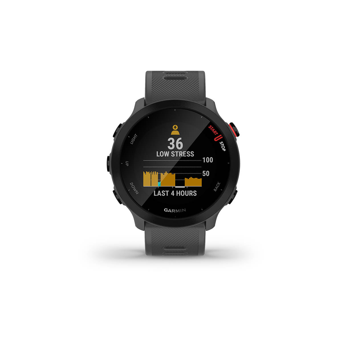 Garmin Forerunner 55 Grey