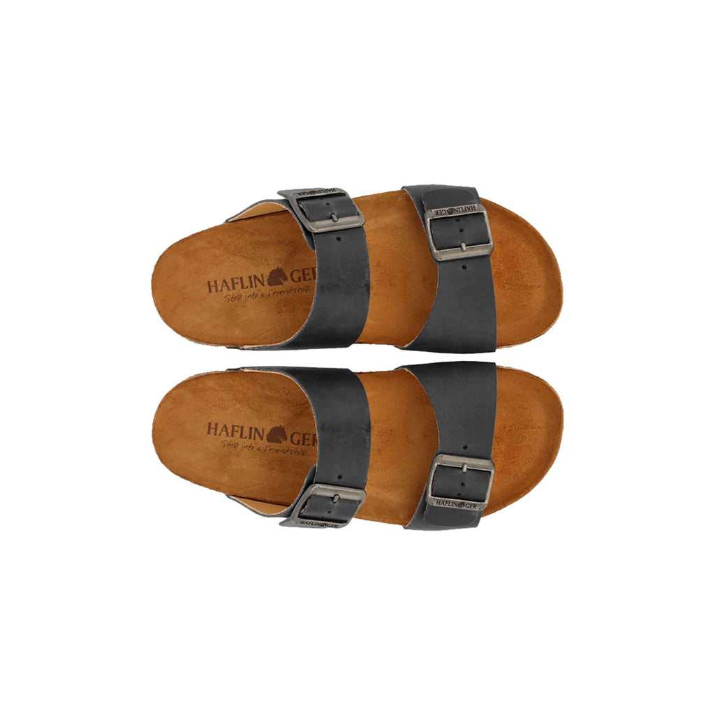 Haflinger Bio Andrea Schwarz Country