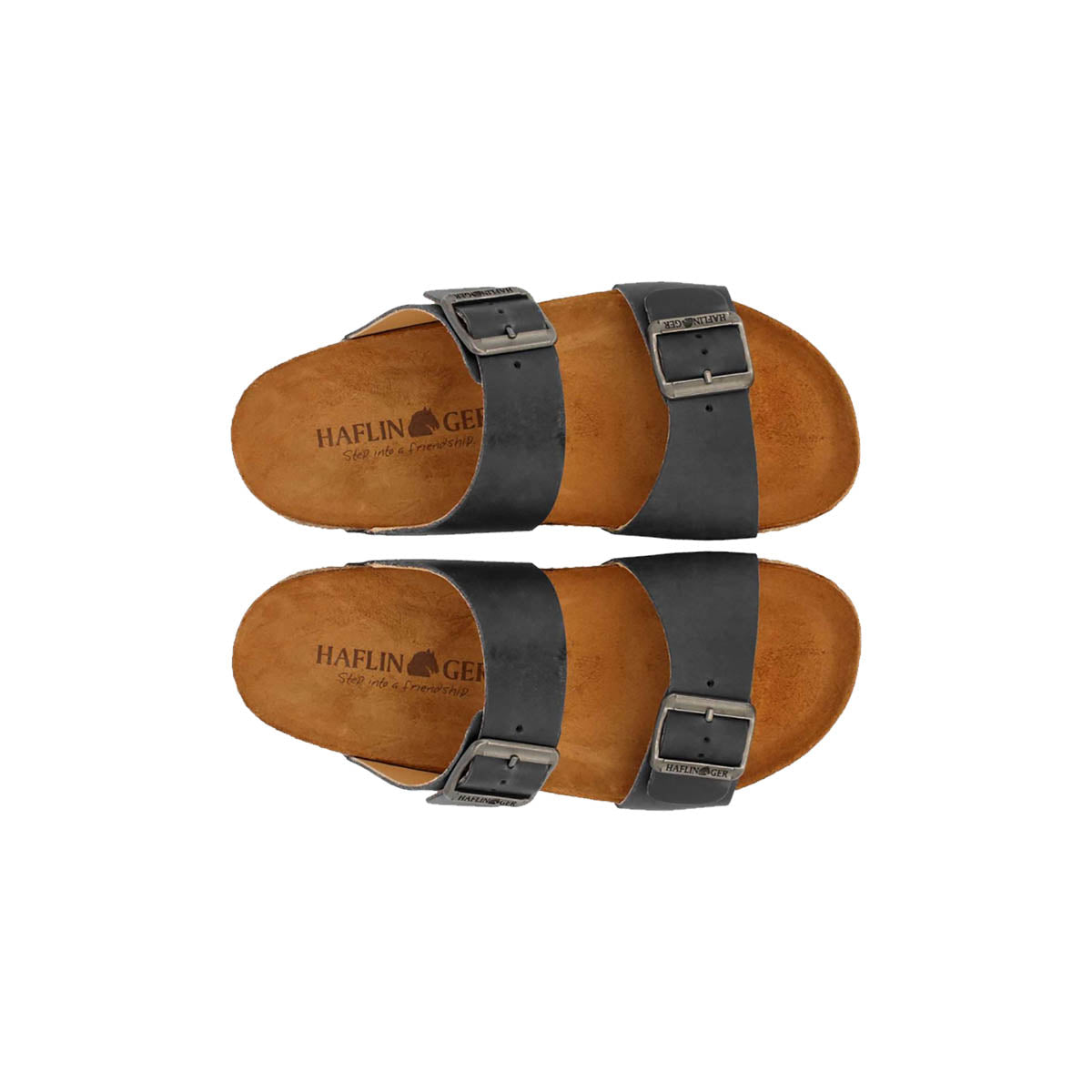 Haflinger Bio Andrea Schwarz Country