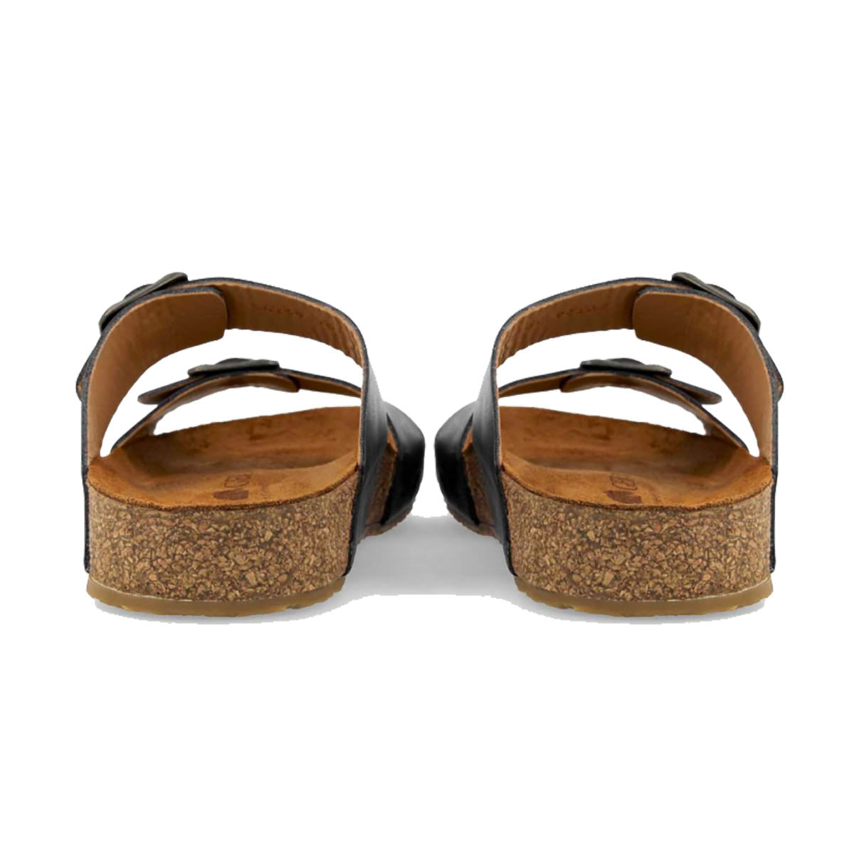 Haflinger Bio Andrea Schwarz Country