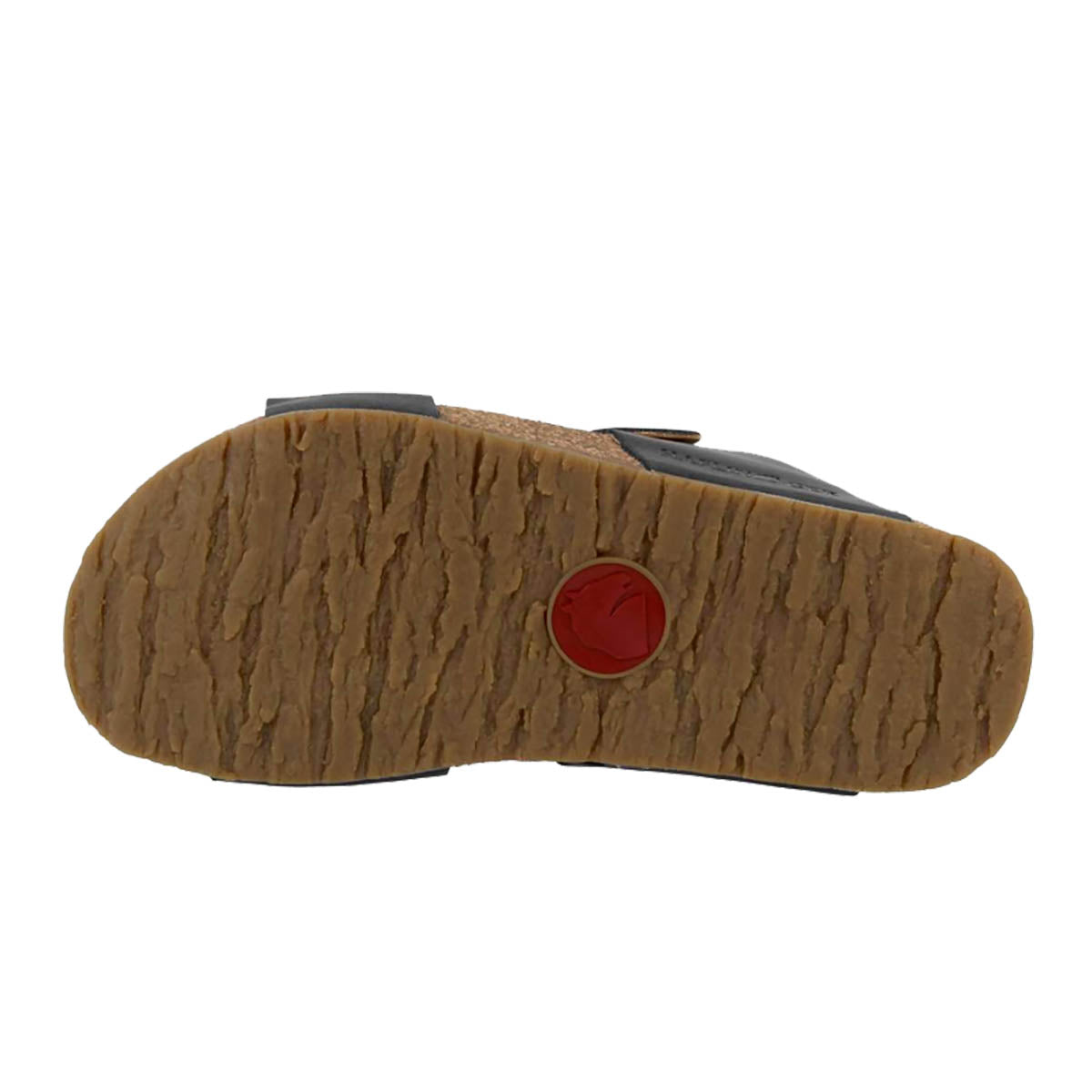 Haflinger Bio Andrea Schwarz Country