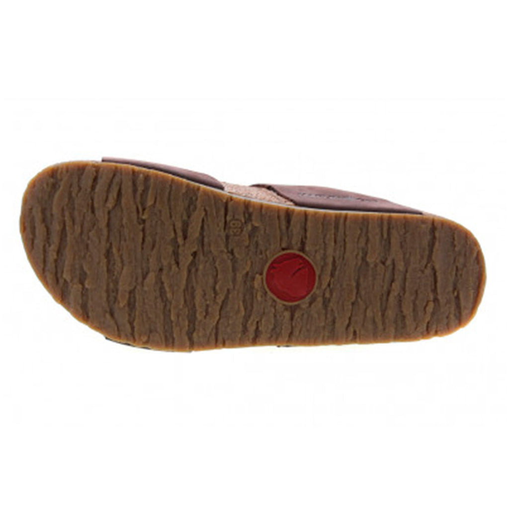 Haflinger Bio Andrea Brun
