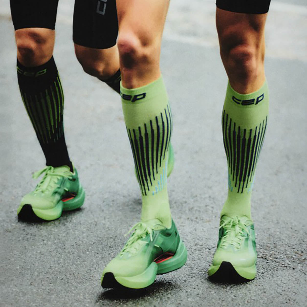 CEP Core Merino Tall 3.0 Herre