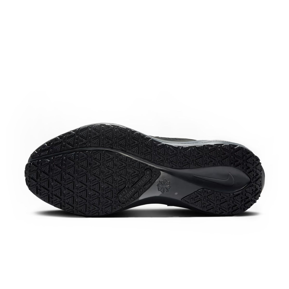 Nike Air ZM Pegasus 41 GTX Dame