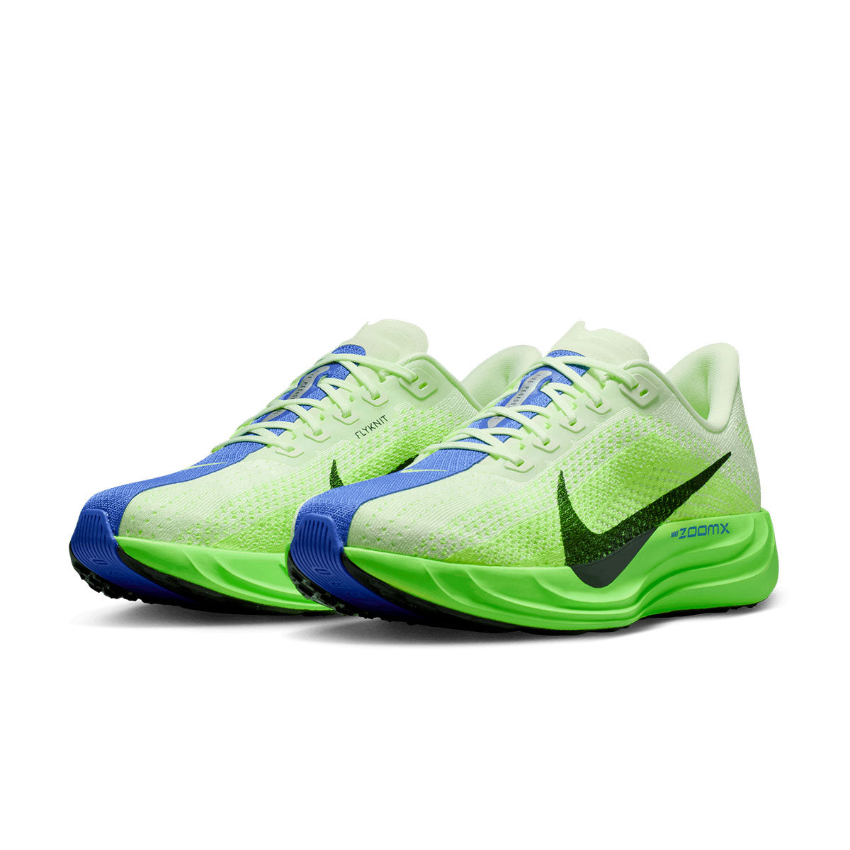 Nike Pegasus Plus herre løbesko i grøn og blå farve