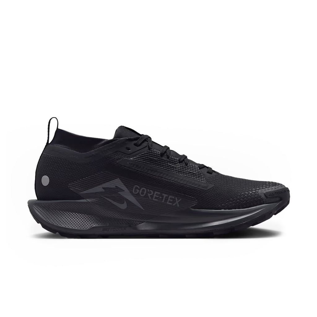 Nike Pegasus Trail 5 GTX Herre
