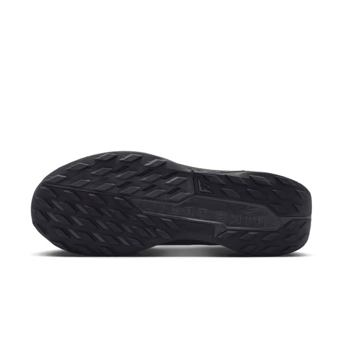 Nike Pegasus Trail 5 GTX Herre
