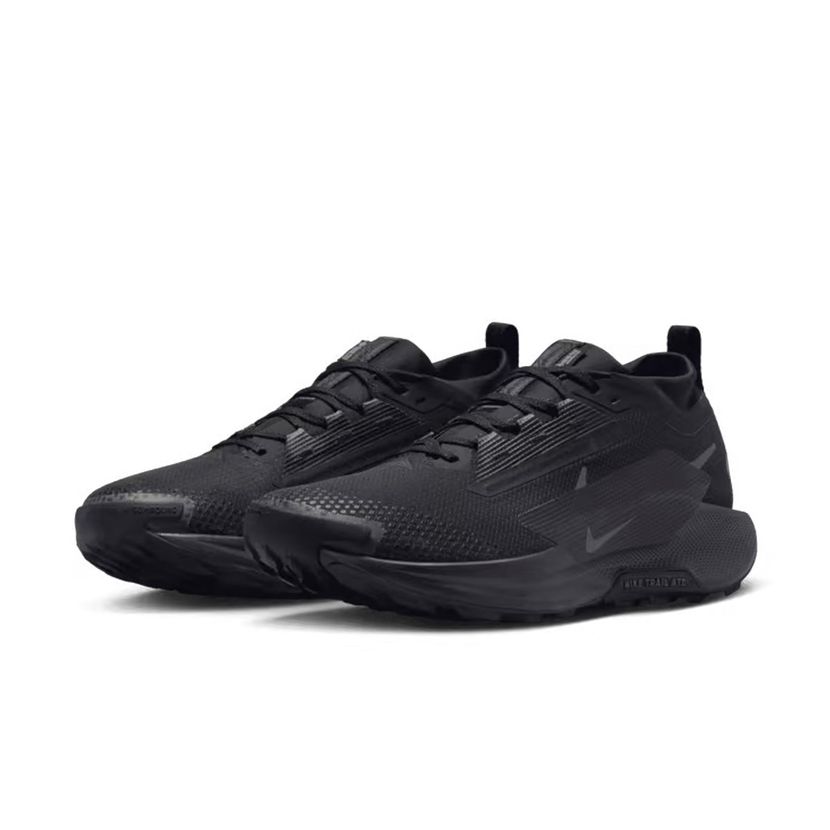 Nike Pegasus Trail 5 GTX Herre
