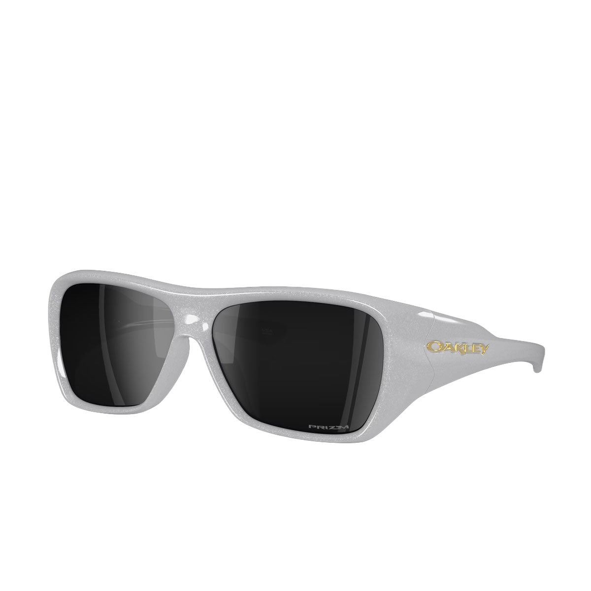 Oakley Chaminade Prizm Black