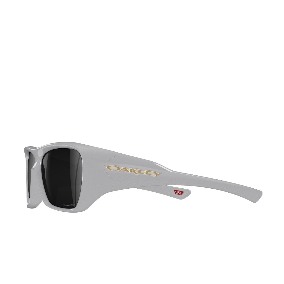 Oakley Chaminade Prizm Black
