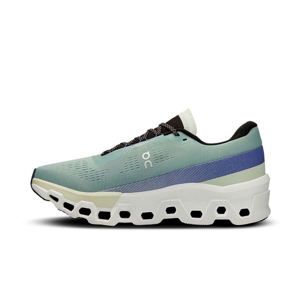 On Cloudmonster 2 Herre