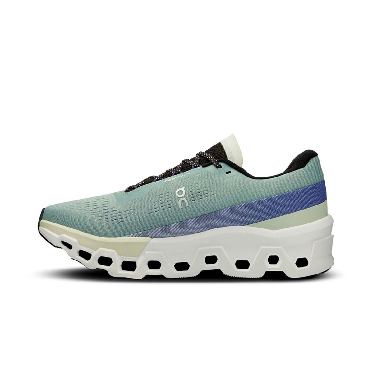 On Cloudmonster 2 Herre