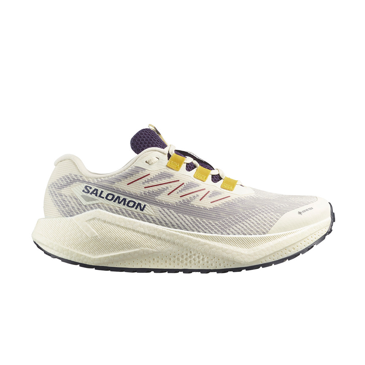 Salomon Aero Blaze 3 GRVL GTX Herre
