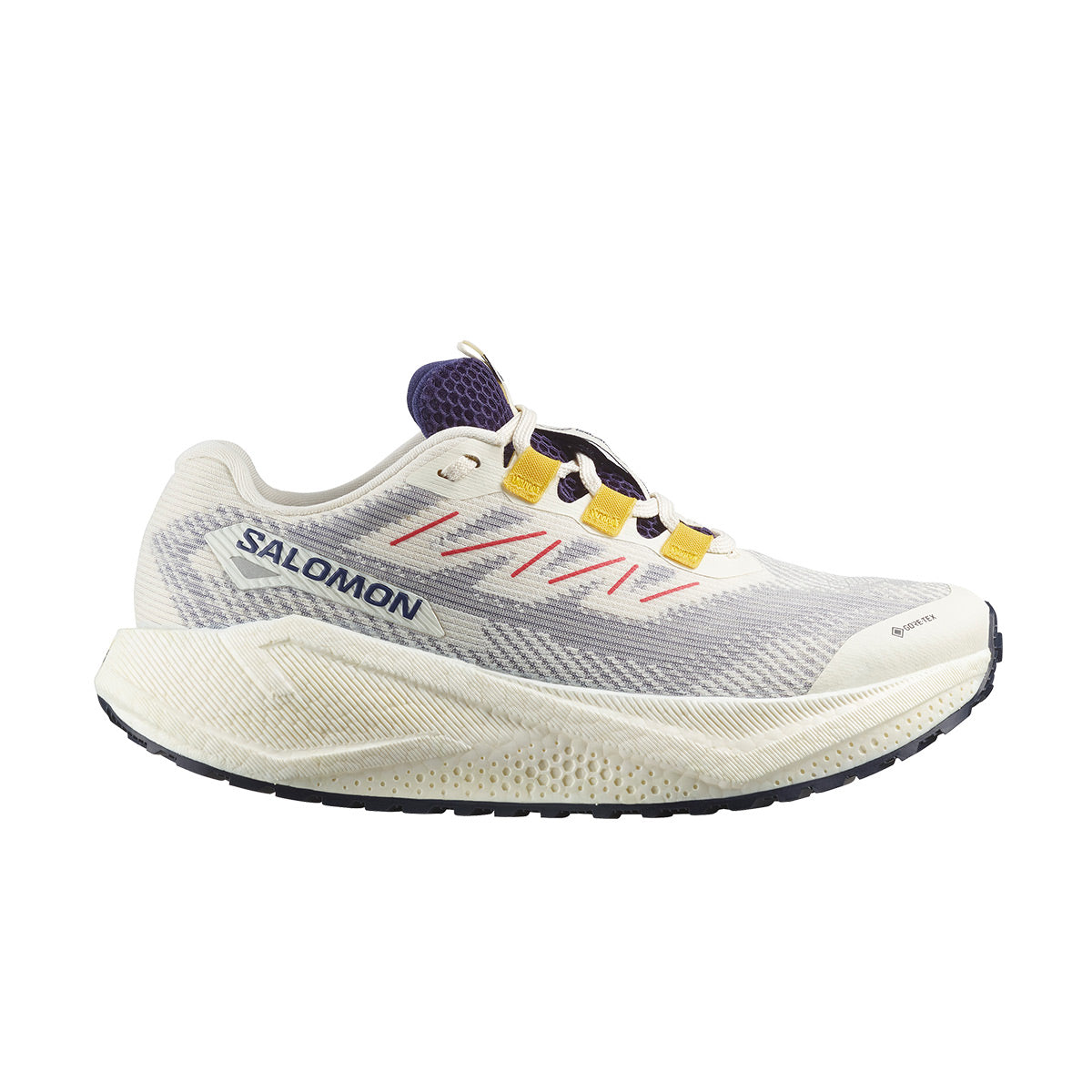 Salomon Aero Blaze 3 GRVL GTX Dame