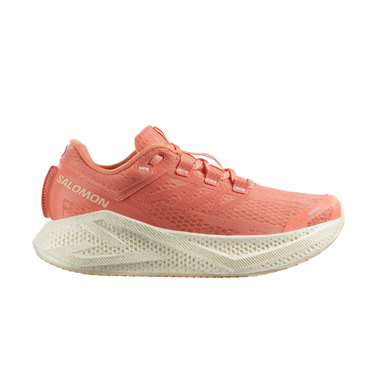Salomon Aero Glide 3 Dame