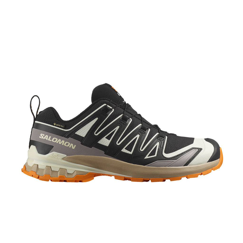 Salomon XA PRO 3D V9 GTX Herre
