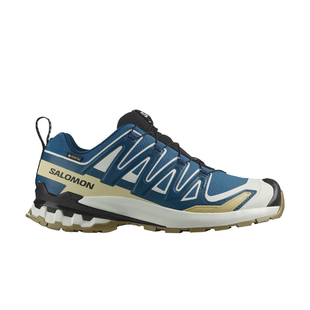 Salomon XA Pro 3D V9 GTX Herre