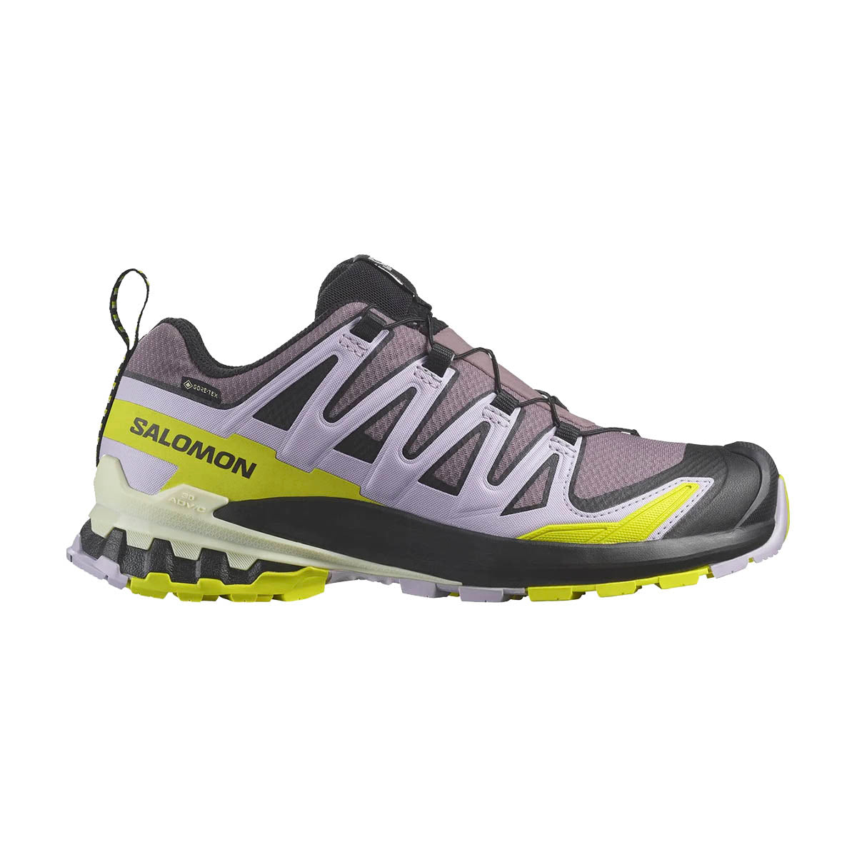 Salomon XA Pro 3D V9 GTX Dame