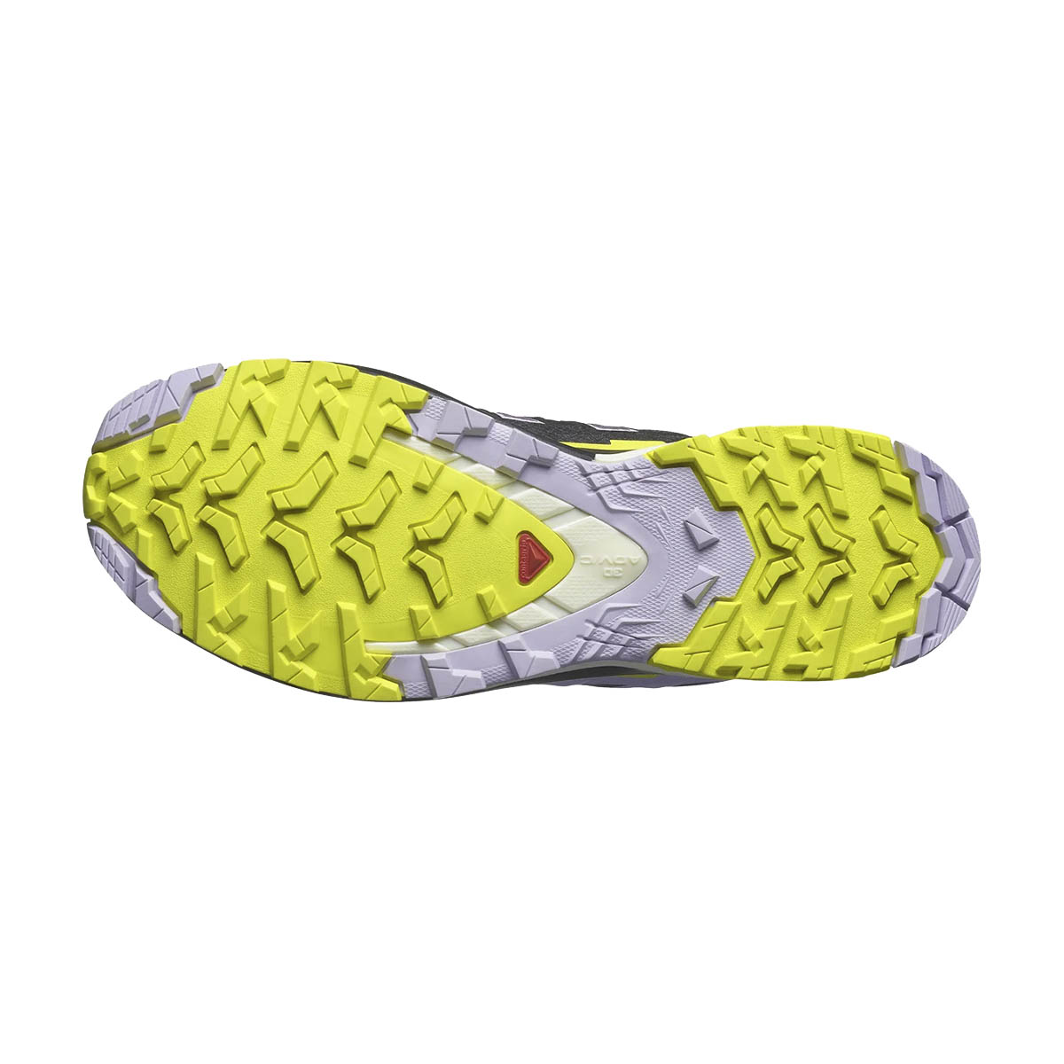 Salomon XA Pro 3D V9 GTX Dame