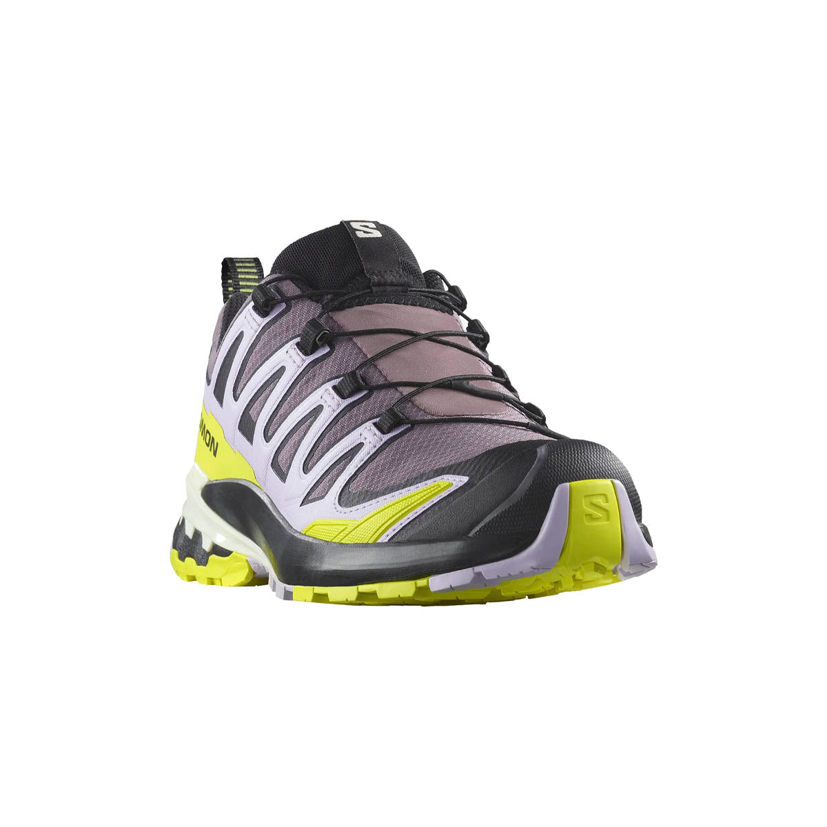 Salomon XA Pro 3D V9 GTX Dame