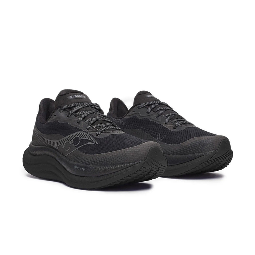 Saucony Triumph 23 GTX Dame