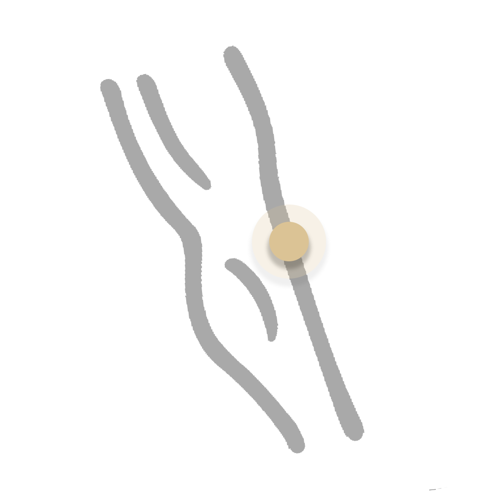 Skinneben-1-ikon-ss24